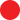 Lustico Rot